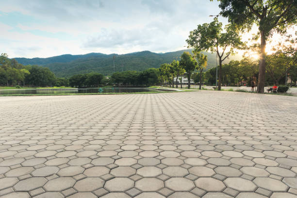Best Driveway Pavers Contractor  in Blackfoot, ID